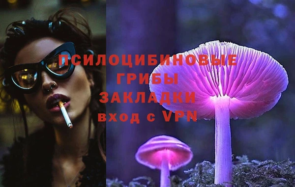 мяу мяу мука Михайловка