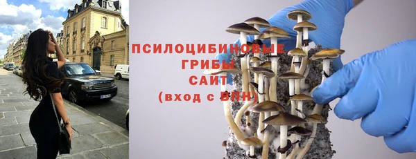 сатива Волоколамск