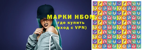 сатива Волоколамск
