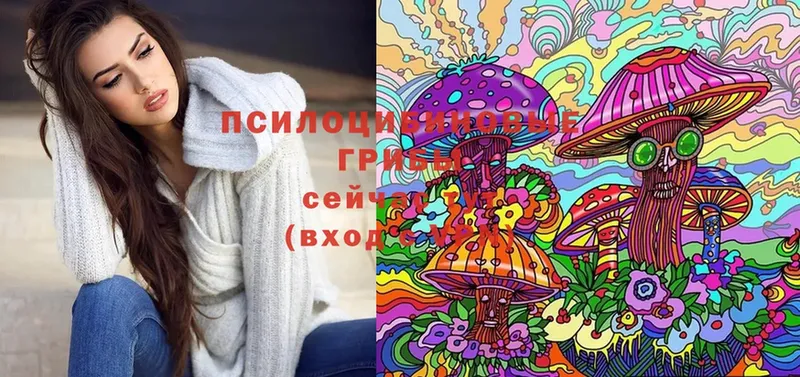 Галлюциногенные грибы MAGIC MUSHROOMS Воткинск