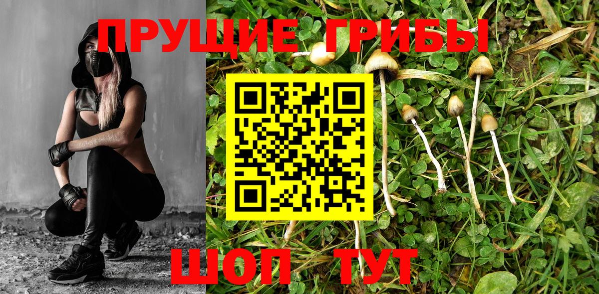 Галлюциногенные грибы ЛСД  Воткинск 