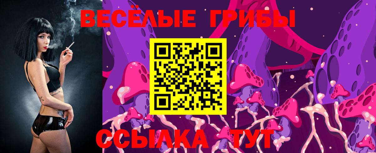 Галлюциногенные грибы Psilocybe Воткинск