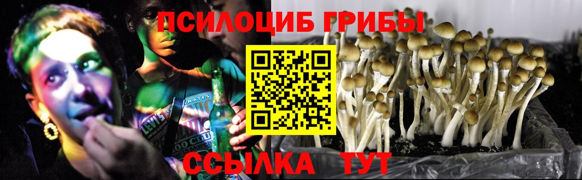 Псилоцибиновые грибы Cubensis  Вход с VPN  Воткинск 