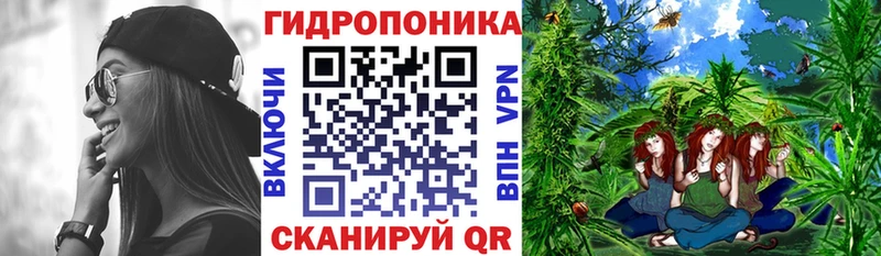 Бошки Шишки планчик Воткинск